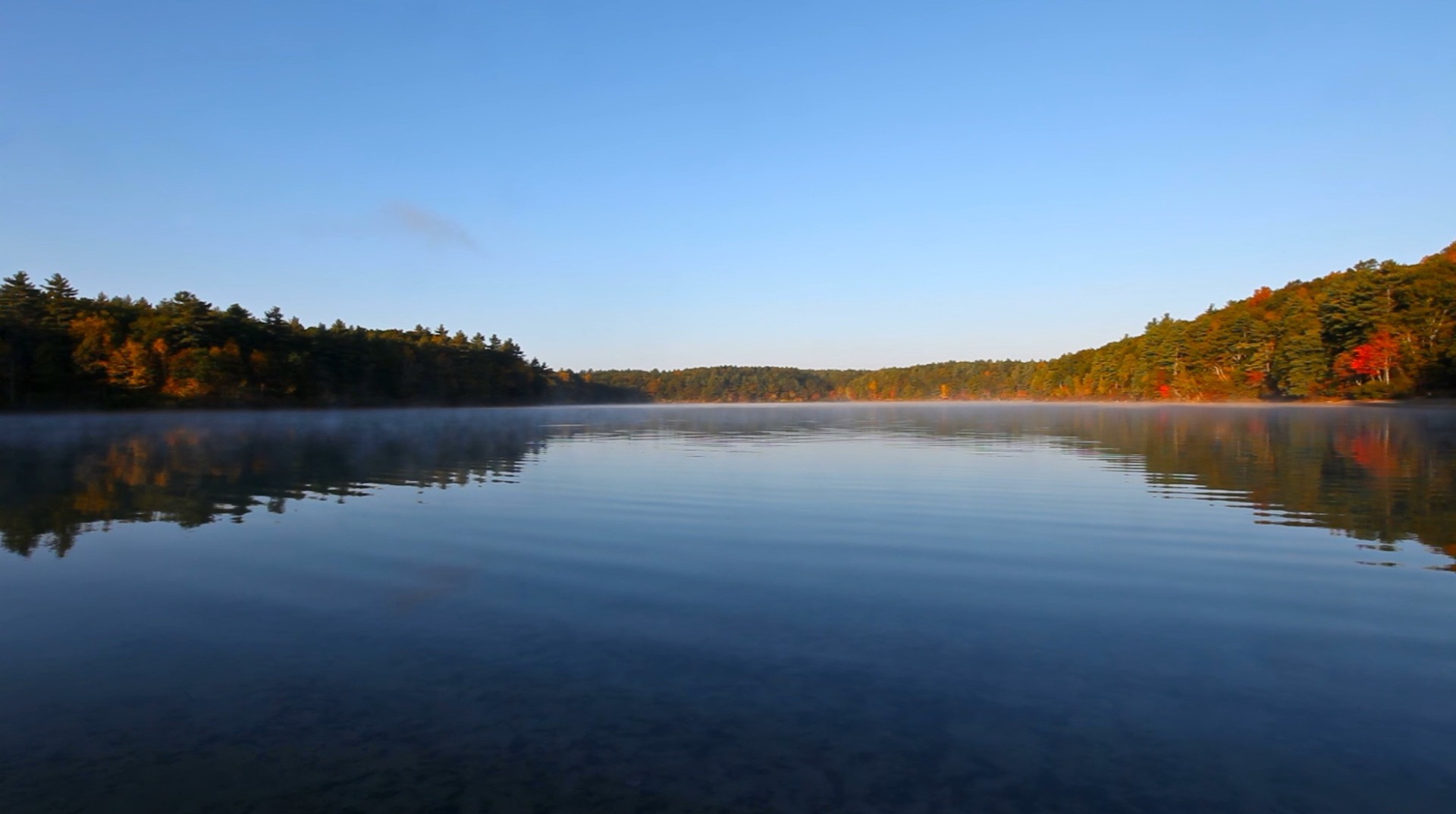 Walden Pond at first light in fall, Concord, Massachusetts